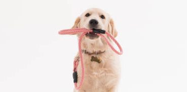 Daycare Training Program Now Available! Click to read more.